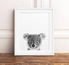 Black And White Animal Prints Australia Instant Download Nursery Decor Baby Koala Print Koala Bear Art Australian Animals Nursery Wal Baby Animal Prints Kids Printable Art Printable Art Prints