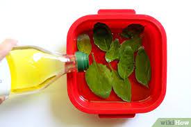 How To Store Fresh Basil In Olive Oil 6 Steps With Pictures