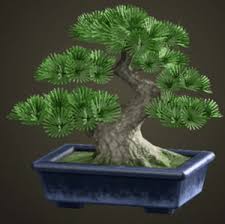 Featured in this tutorial is a large scots pine bonsai. Acnh Pine Bonsai Tree How To Get Diy Recipe Required Materials Animal Crossing Gamewith