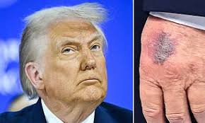 Maria Fayad is a 'lovely woman' with 10 grandchildren. She just got a  $24MILLION bill from the Australian Tax office