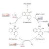 Story image for Artificial Intelligence from Chemistry World