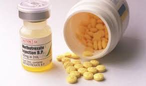 Methotrexate In Veterinary Medicine Facts And Information Petcoach