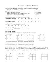 If striped squash (s) is dominant to spotted squash (s) a. Monohybrid Punnett Square Practice Worksheet Answers Promotiontablecovers