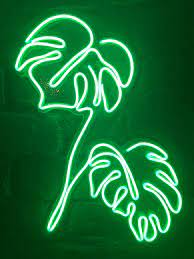 Aesthetic wallpapers green pictures neon aesthetic dark green wallpaper skull wallpaper dark green aesthetic green photo halloween wallpaper aesthetic colors. Green Neon Pictures Hd Download Free Images On Unsplash