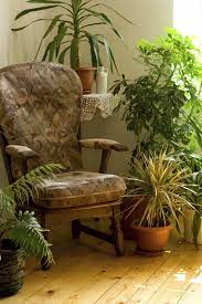 Foliage and flowering plants that happily grow in pots you can easily carry. Foliage Plants For Your Home Gardening Know How