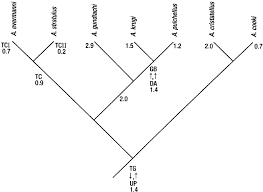 Vincent arroyo chamiso pediatrics is a pediatric clinic in santa fe, new mexico. Risk Factors Affecting Escape Behaviour By Puerto Rican Anolis Lizards