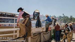 What Rodeo And Rangeland Rookies Can Expect At The Calgary Stampede -  Calgary | Globalnews.Ca