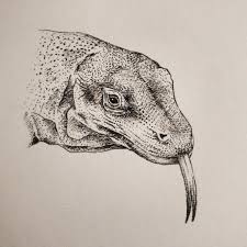 Komodo Dragon Komodo Dragon Komodo My Drawings