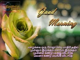 Beautiful Thoughts Good Morning Greetings Kavithaitamil Com Good Morning Greetings Morning Greeting Photo Album Quote