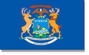 Minnesota state flags have a field of medium blue and show the seal of minnesota in their center. Usa State Flag Descriptions All 50 States