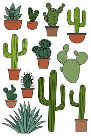 Cactus Clipart Set Hand Drawn Clip Art Illustrations Of Desert Cacti Plants In Pots Commercial Use Jpg Png And Vector Download Cactus Clipart Cactus Drawing Cactus