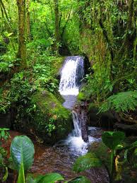 See all things to do. Nicaragua Waterfall Waterfall Nicaragua Outdoor
