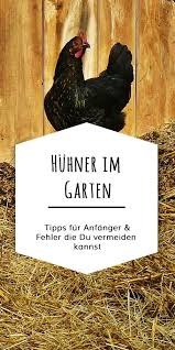 Huhner Im Garten Halten Erfahrungen Und Tipps Huhner Im Garten Huhnerhaltung Im Garten Zwerghuhner
