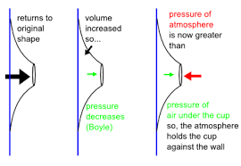 Why does a suction cup stick to a wall? How Do Suction Cups Work Engineering Stack Exchange