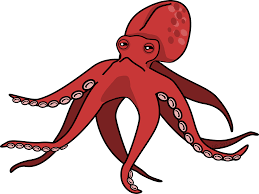 squid clipart pink cartoon squid pink cartoon transparent free for download on webstockreview 2020 squid clipart pink cartoon squid pink