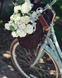 Love It Fahrradkorb Fahrrad Rad