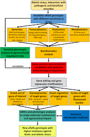 show full abstract pest management (ipm). Frontiers Biotechnological Perspectives Of Omics And Genetic Engineering Methods In Alfalfa Plant Science