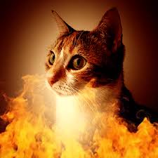 Best price guaranteed simple licensing. Burning Fire Photofunia Free Photo Effects And Online Photo Editor