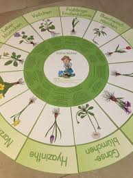 Fruhlingsblumen Legekreis Spielend Leicht Lernen Montessori Materialien Kindergartenthemen Fruhbluher Grundschule