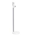 Kostenlose lieferung und 2 jahre garantie. Dyson V11áµ€á´¹ Absolute Extra Pro Kabelloser Staubsauger Gold Gold Dyson De