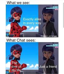 Offers gallery of images or create meme using your own images; Just A Friend Memes Miraculous Amino