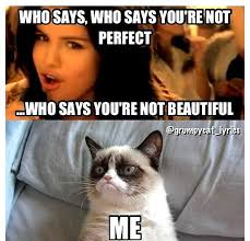 Funny Cat Memes Life In 2020 Funny Grumpy Cat Memes Funny Cat Memes Grumpy Cat Quotes