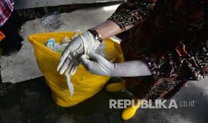 Cat texture, pengecatan texture,ferdy 085649842128 Waspada Sarung Tangan Medis Bekas Yang Diolah Kembali Republika Online