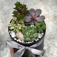 We did not find results for: Florist Singapore 6 Alternatives To Fresh Flower Bouquets