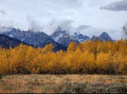 Thank you Lord for another beautiful day to celebrate life! Checking in for  an upcoming surgery next week!