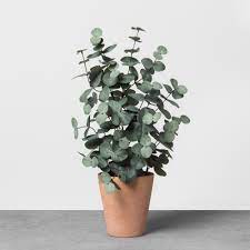 Faux Eucalyptus In Terracotta Pot Small Hearth Hand With Magnolia Green Artificial Flowers And Plants Bathroom Plants Terracotta Pots