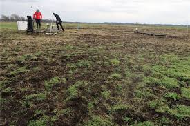 Mauseplage In Der Wesermarsch Nimmt Kein Ende