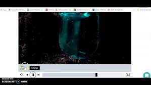 Answer key soluble or insoluble? Solubility Rules Chm 111 Pivot Spring 2021 Youtube