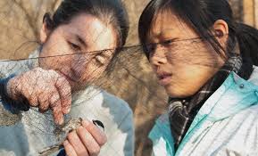 FAQ about Cornell University