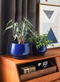 Maybe you would like to learn more about one of these? Buy Le Tauci Plant Pots With Drainage Holes And Saucers 4 1 5 1 6 5 Ceramic Pots For Plants Planters Indoor Plants Small To Large Sized Set Of 3 Sapphire Blue Online In Taiwan B08cd7fcz7