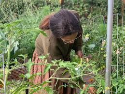 Pflanzen Nach Dem Mond Inkl Pflanzkalender 2020