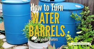 To use the barrel as a container for your water garden, you must cut it neatly in half. Turn Used Plastic Water Barrels Into Planters Rockin W Homestead
