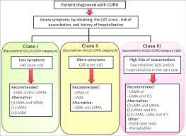 Image result for COPD Management