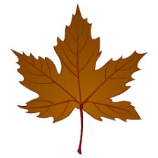 You can find more free clip arts autumn leaves in our. Yellow Maple Leaf Clipart Free Png Image Illustoon