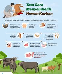 Secara fiqih, waktu sah berkurban yaitu sejak menurut imam nawawi, ada beberapa contoh tindakan yang dimaksud menyenangkan hewan yang akan disembelih, yaitu Tata Cara Penyembelihan Qurban Sekar Mendo Ternak Facebook