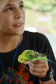 Close-up photos from a fun day at the zoo