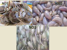 Faktanya, banyak keyboard yang memiliki jenis tersendiri untuk memenuhi fungsi yang berbeda peruntukannya. Diantara Jenis Jenis Siput Kongsi Apa Apa Sahaja Facebook