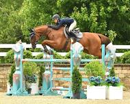 Lamplight Spring Spectacular I
