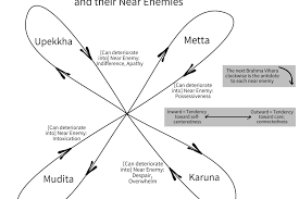The brahmaviharas are four prized emotions or mindstates that give us a framework to cultivate positive behaviors and minimize harmful ones. Using The Brahma Viharas To Work With Their Near Enemies Elizabeth U