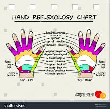 Hand Reflexology Chart Vector Illustration Stock Vector