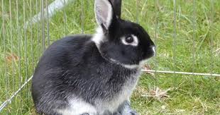 Pin Auf Cute