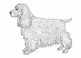 Dit is wel een hele orginele tatoo.dit super leuke gekruiste malterser hondenras is geweldig om na te tekenen en zeker als je wilt studeren op het tekenen van haar of vacht. Kleurplaat Hond 80 Gratis Simpele En Moeilijke Honden Kleurplaten