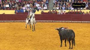Jun 14, 2021 · inês sousa real foi eleita líder do pan no dia em que completou 41 anos. Campo Pequeno 19 Maio 2016 Faenas Tv
