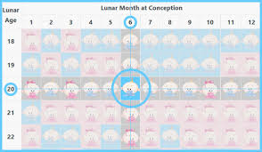 Chinese gender predictor chart 2021 (is it really accurate?) do you want to find out whether your unborn child is a boy how to use: Chinese Gender Predictor Birth Calendar Pregnancy Chart 2021