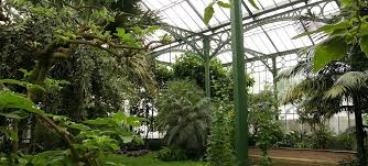 25 min) vom zoologisch botanischen garten stuttgart. Botanischer Garten Stuttgart Stuttgart Wilhelma In Stuttgart Mieten Bei Event Inc