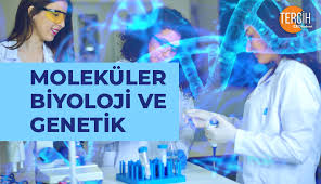 Moleküler biyoloji ve genetik bölümü. Molekuler Biyoloji Ve Genetik Bolumu Nedir Mezunlari Ne Is Yapar